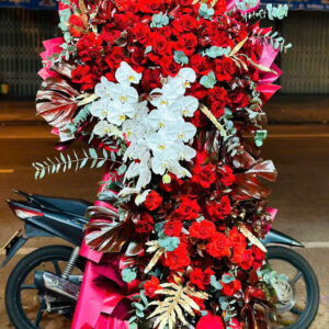 Hoa Khai Trương - KT56