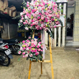 Hoa Khai Trương - KT71