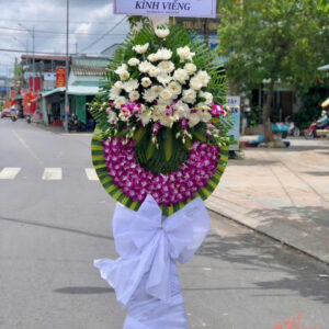 Hoa Kính Viếng - KV61