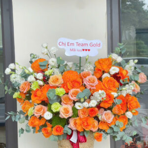 Giỏ Hoa Khai Trương/Sinh Nhật - GH19