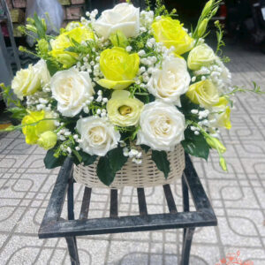 Giỏ Hoa Khai Trương/Sinh Nhật - GH54