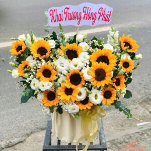 Giỏ Hoa Khai Trương/Sinh Nhật - GH106