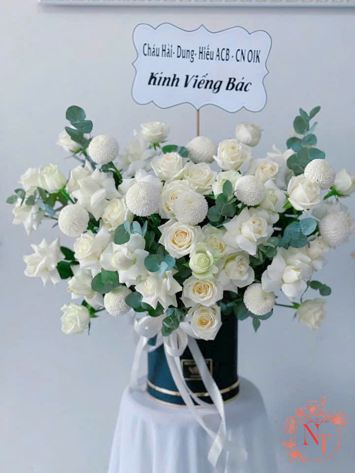 gen-n-z6929843924124_b1c24680a1c0223e8fb399d308622cb7